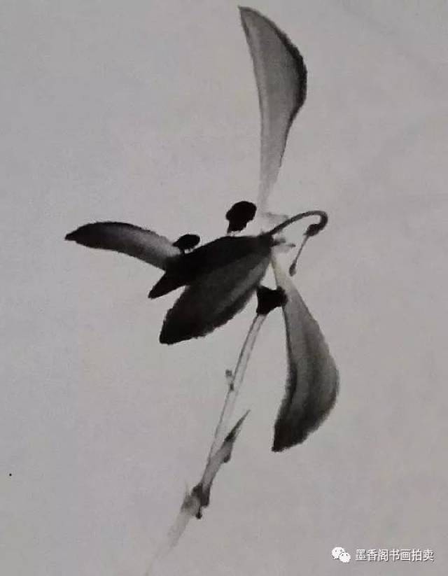国画技法 | 兰花花头的画法,兰与叶组合的画法