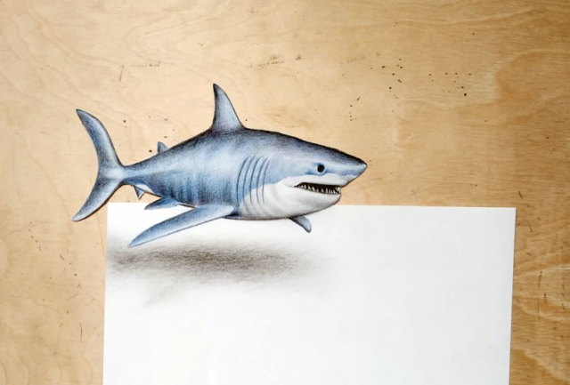 将鲨鱼上面的纸张剪掉,一个3d立体的鲨鱼就出来啦!