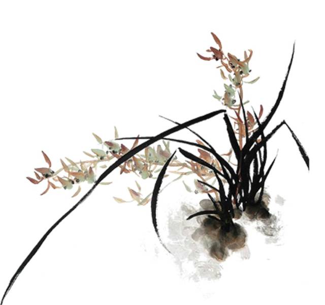 手绘青春【第二期】 | 井冈山上,若兰芬芳