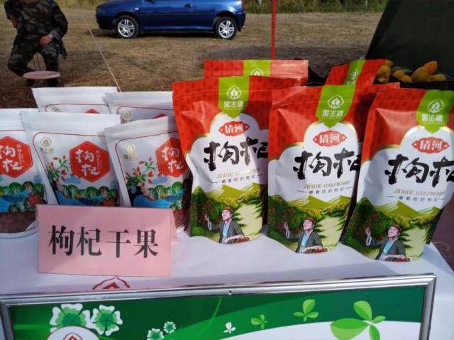 震撼！精河县举办首届木特塔尔沙漠文化旅游节