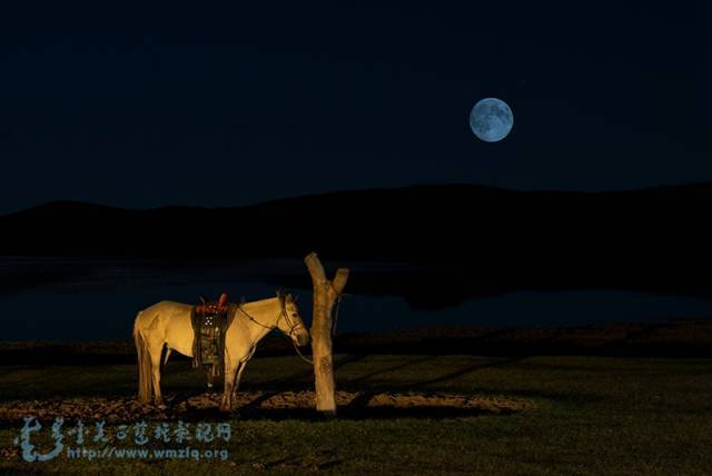 《月光下》是草原上广泛流传的经典原创歌曲,几十年来传唱不衰.