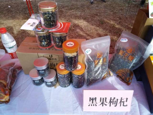 震撼！精河县举办首届木特塔尔沙漠文化旅游节