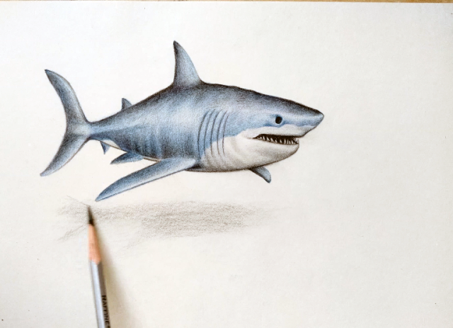 彩铅画3d效果鲨鱼详细教程出炉啦,一学就会!