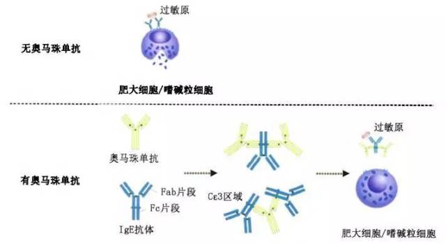 奥马珠单抗—我就是"药神"!过敏性哮喘孩子可以不用依赖激素了!