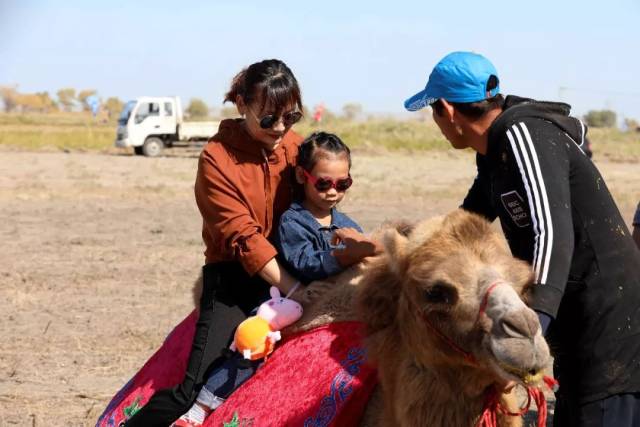 震撼！精河县举办首届木特塔尔沙漠文化旅游节