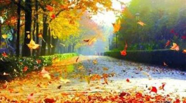 夜色钢琴曲《秋的思念》,让思念从指缝间蔓延~~