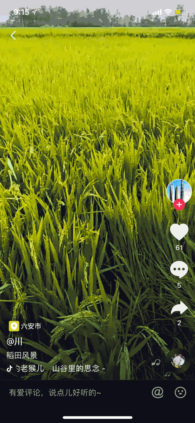 风景 植物 种植基地 桌面 640_1386 竖版 竖屏 手机 gif 动态图 动图