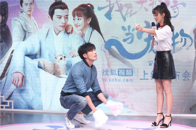 《我在大理寺当宠物》甜蜜上线,徐开骋胡意旋上演猫式互撩