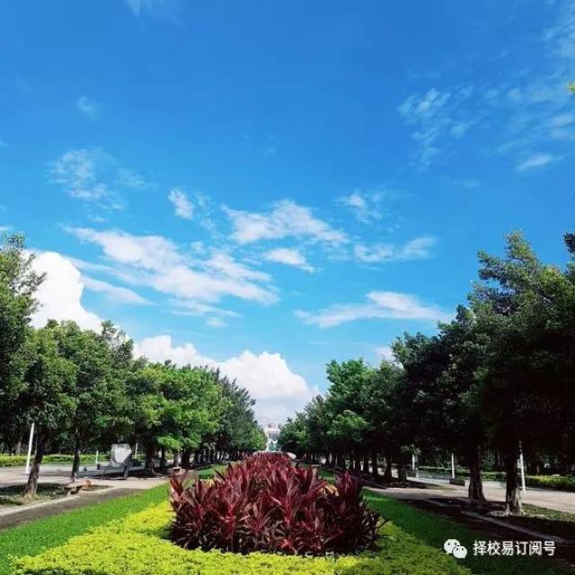 【逛大学】顺德职业技术学院,天地之大任我翱翔