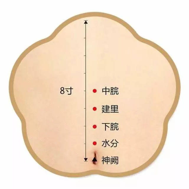 中脘,神阙(肚脐),天枢