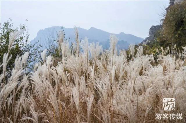 地址:北镇市鲍家乡桃园村大芦花风景区 电话:0416-6242888 图片如需