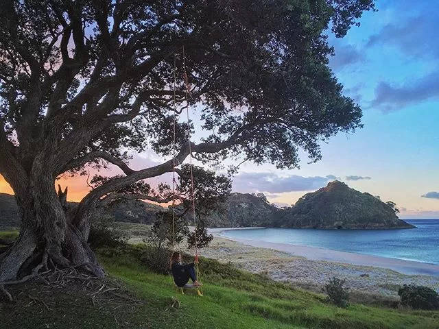 田亮新西兰高调"炫富"带火了这个小岛,99%本地人都没去过图片