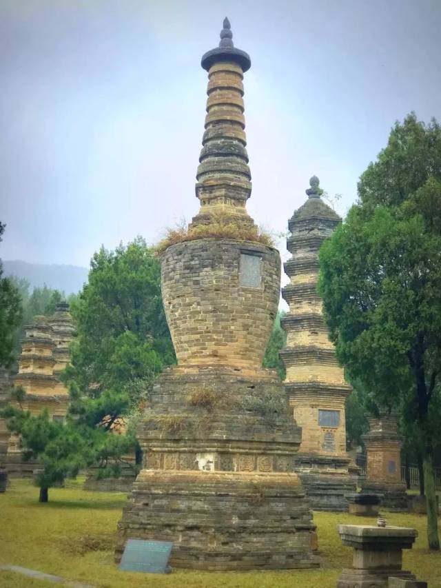 日出嵩山坳,晨钟惊飞鸟…那些年与电影《少林