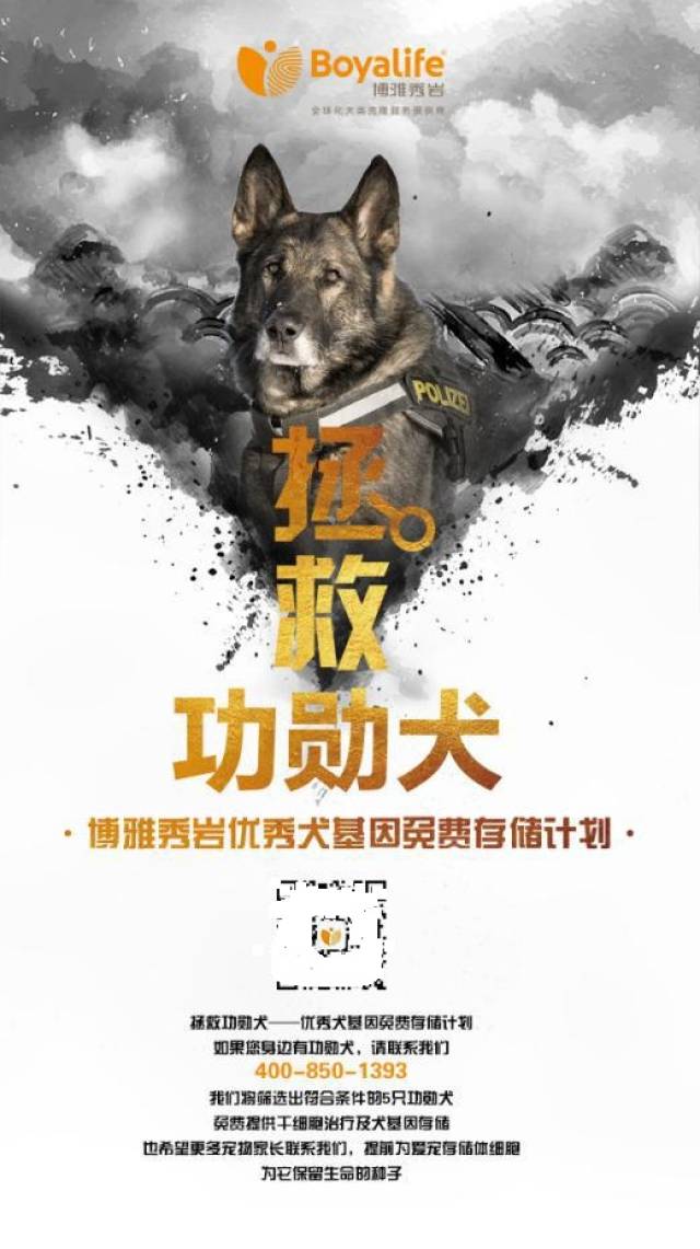 基因储存 为工作犬培育奠定良好基础