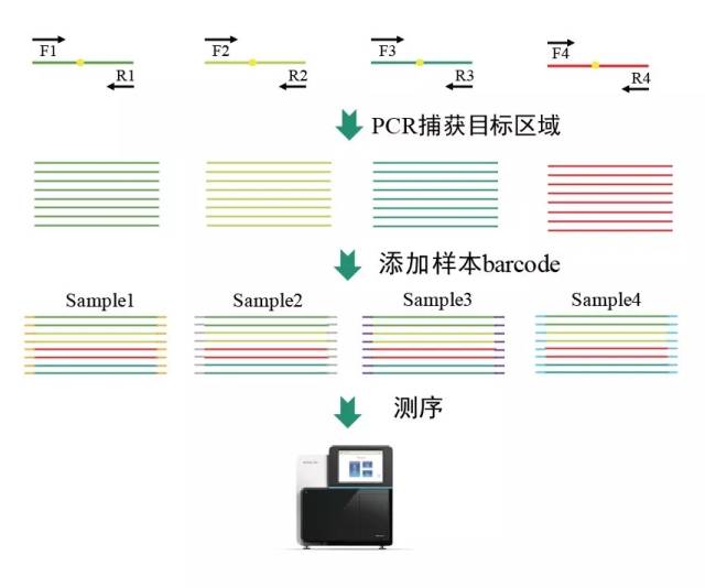 pcr检测 搜狐网