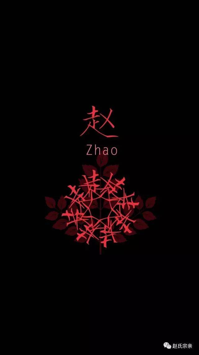 "赵"告天下,"赵"耀今古