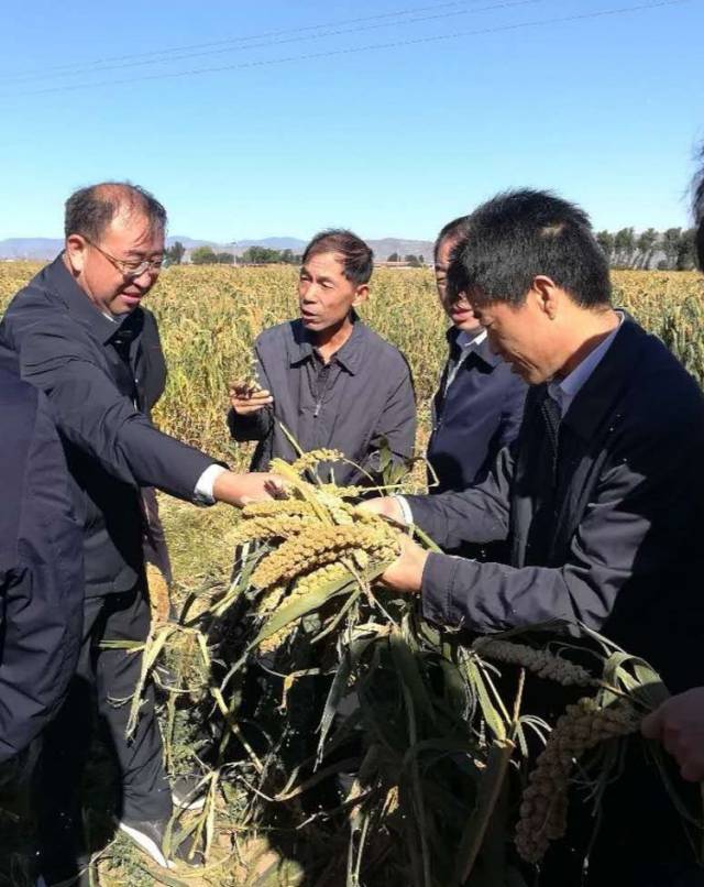 共话丰收 共享乡村振兴成果 同庆广灵首个"中国农民丰收节"