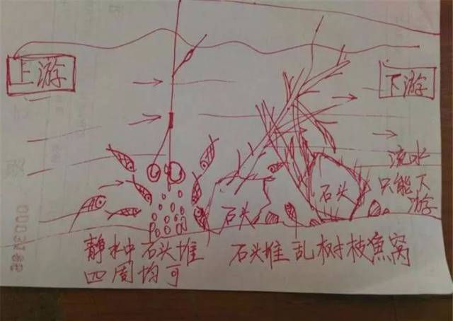 7.回水湾鱼窝