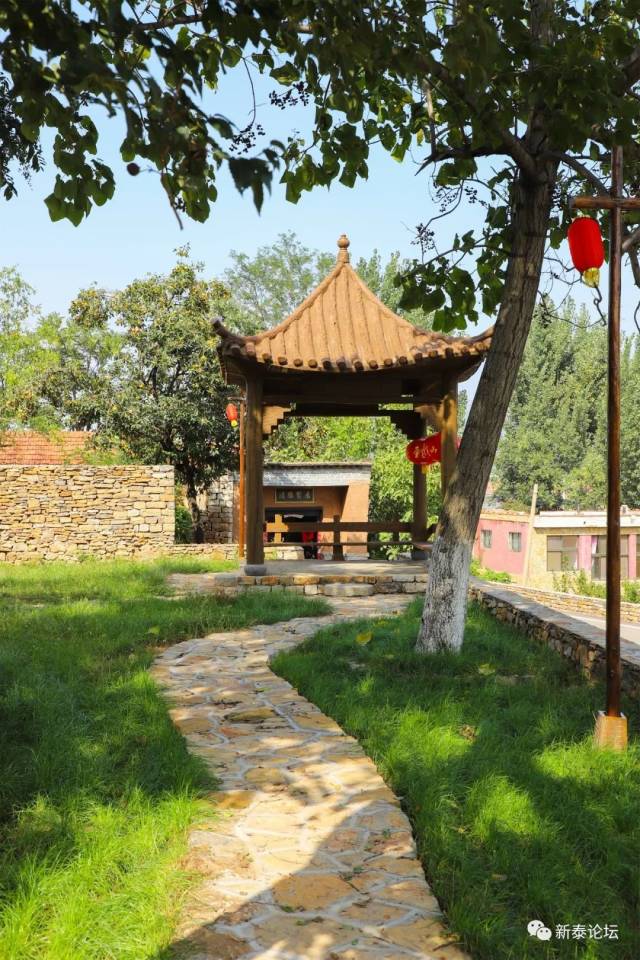 大美新泰—龙延镇掌平洼村