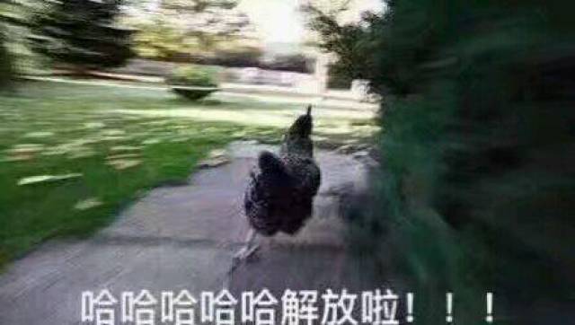 下班了表情包大全