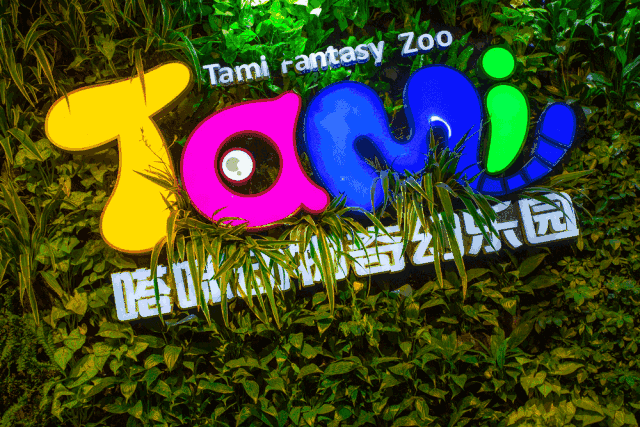 假期走起,看1000多只萌物真实版