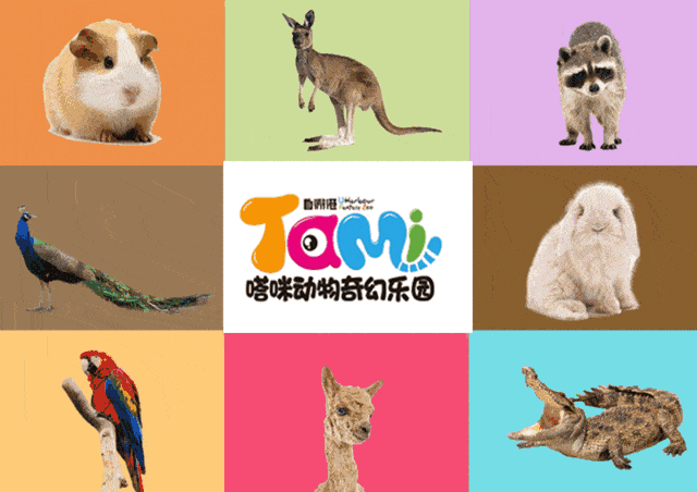 温州龙湾万达店嗒咪动物奇幻乐园给你c位 | 假期走起