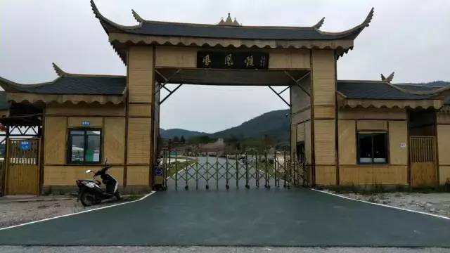 恐龙来啦彭泽凤凰颈景区恐龙热气球主题乐园隆重开幕门票免费无限送