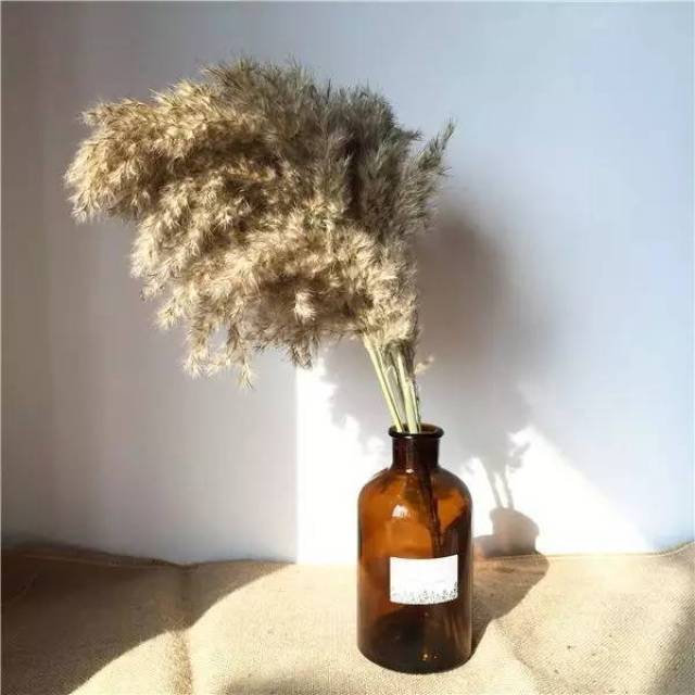 这些乡下人才有的插花,城里人只有羡慕的份!