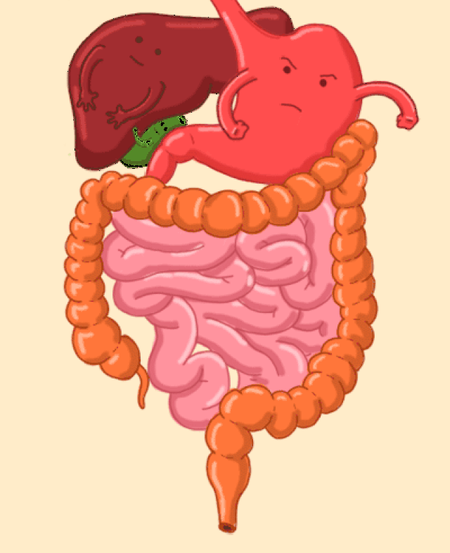 肠胃不好怎么办