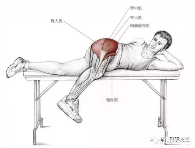 >>拉到的肌群 主要肌群:阔筋膜张肌,臀中肌,臀小肌.