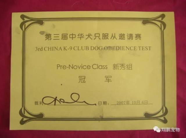 想成为一名训犬师,可是训犬学校众多,你该如何选择呢?