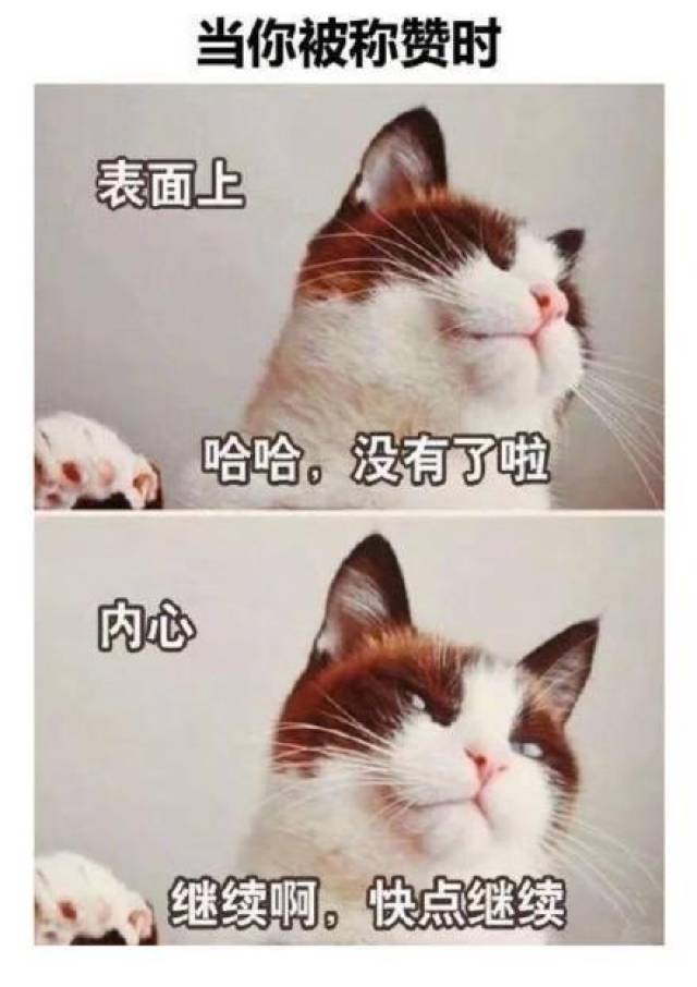 热门搞笑表情包:作为一个靓仔,早已习惯孤独