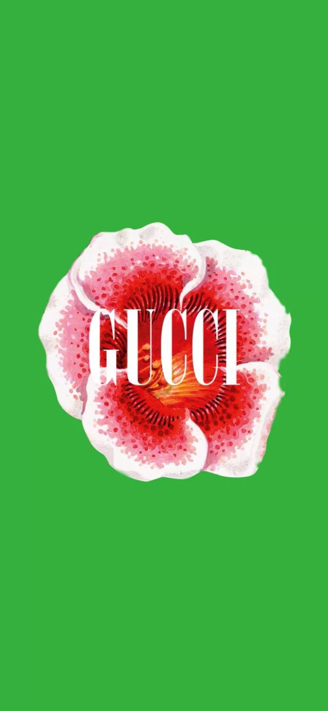 壁纸精选|gucci!