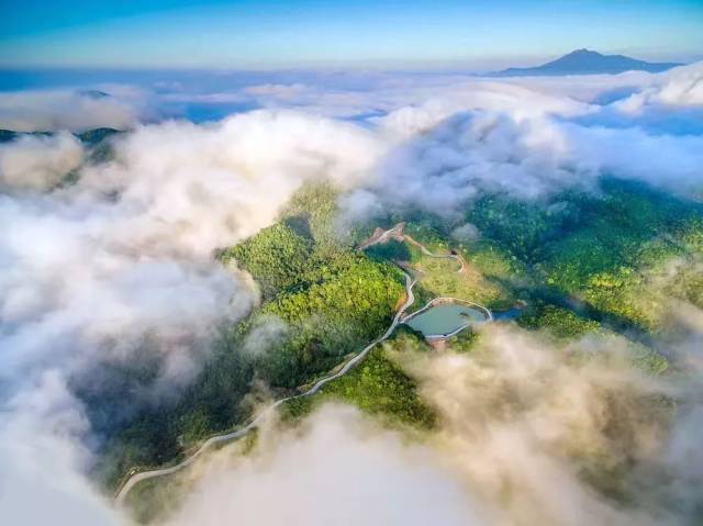 10月1日 大埔一处新景区要大家正式见面啦!