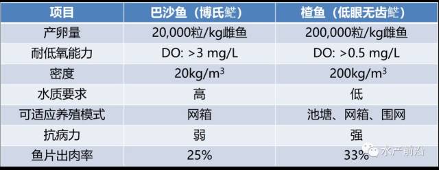 表1,巴沙鱼与楂鱼的生长性能对比