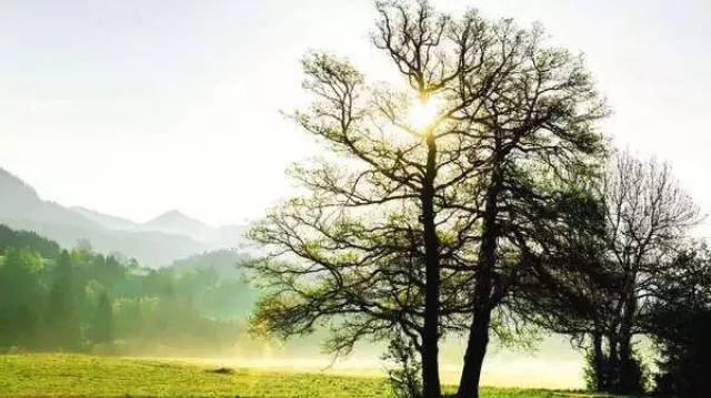 2018年最发人深思的英文演讲:你这一生其实只有9年,请好好虚度(附