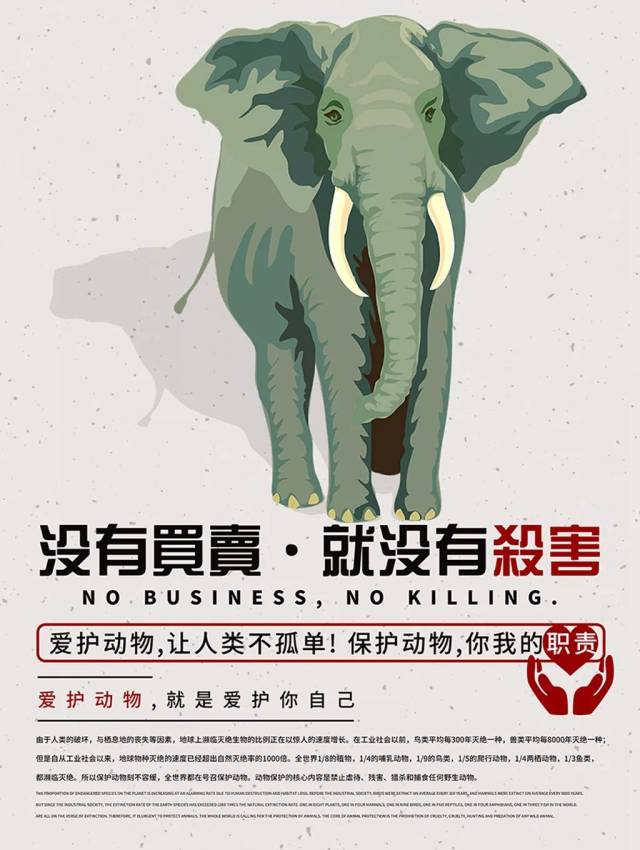 保护野生动物从我做起让人类的朋友不在落泪