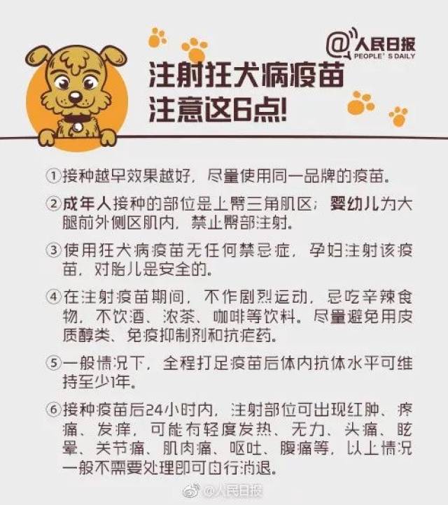 6岁男童注射狂犬疫苗13天后死亡!中国人对于狂犬病究竟存在多少误区?