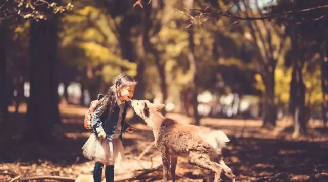 2018年最发人深思的英文演讲:你这一生其实只有9年,请好好虚度(附