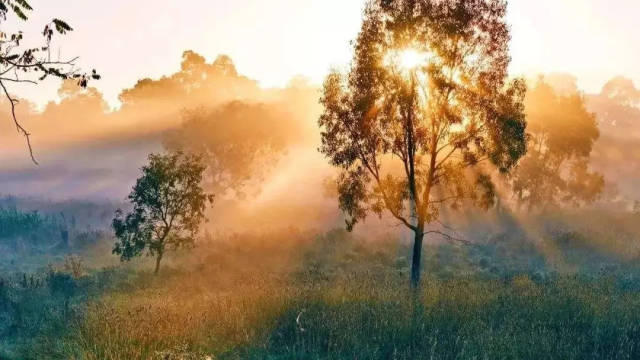 2018年最发人深思的英文演讲:你这一生其实只有9年,请好好虚度(附