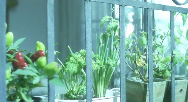 没人不爱这首情诗吧。