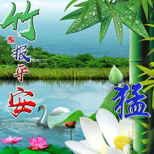 3款超清护眼壁纸 竹报平安微信头像,手机壁纸,喜欢请带走