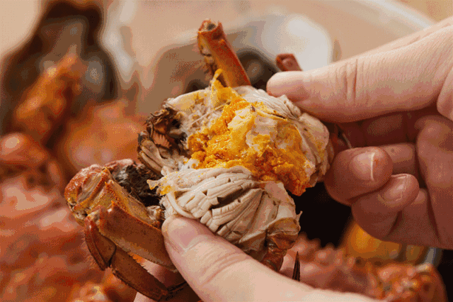 爆料广州吃蟹买蟹好去处!蟹黄富到流油的网红大闸蟹原来就在这里?