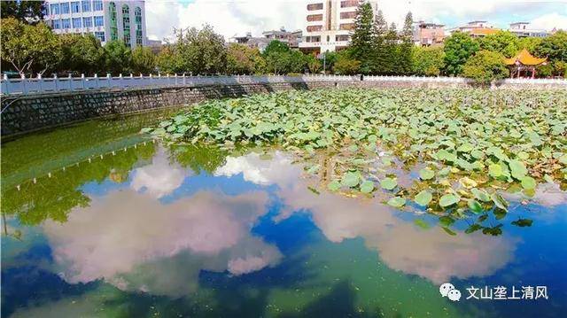 广南有个莲湖公园,那是一个人们茶余饭后休闲消磨时间的好地方