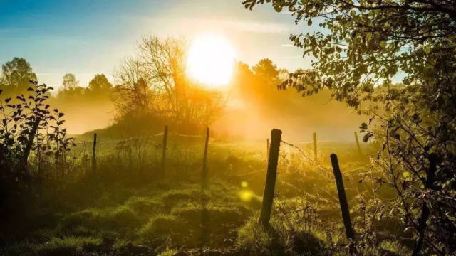 2018年最发人深思的英文演讲:你这一生其实只有9年,请好好虚度(附