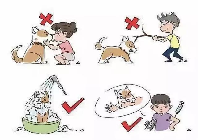 健康| 今天是第12个世界狂犬病日!保护自己,科学预防狂犬病