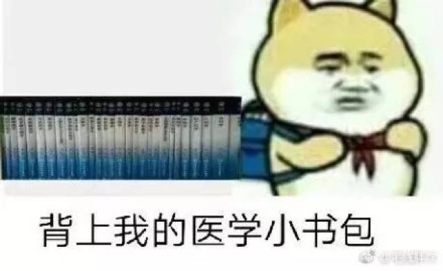 别的专业只要背好重点基本就没问题了 而医学生: 光背重点你也敢考试?