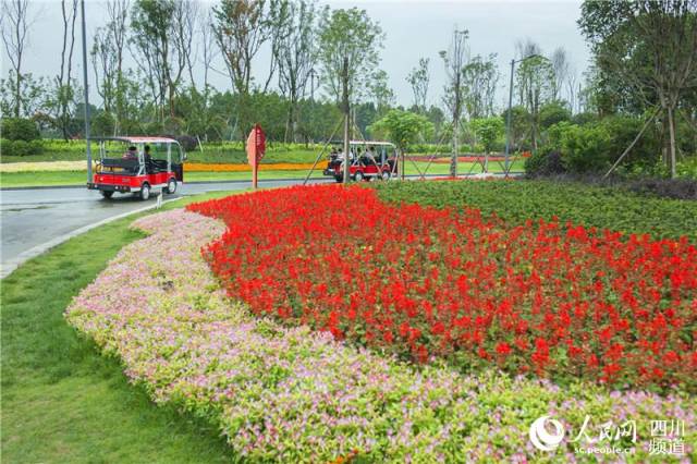 锦城绿道重要节点—天府芙蓉园_手机搜狐网