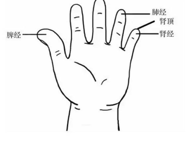 生长痛是指儿童的膝关节周围或小腿前侧疼痛,这些部位没有任何外伤史