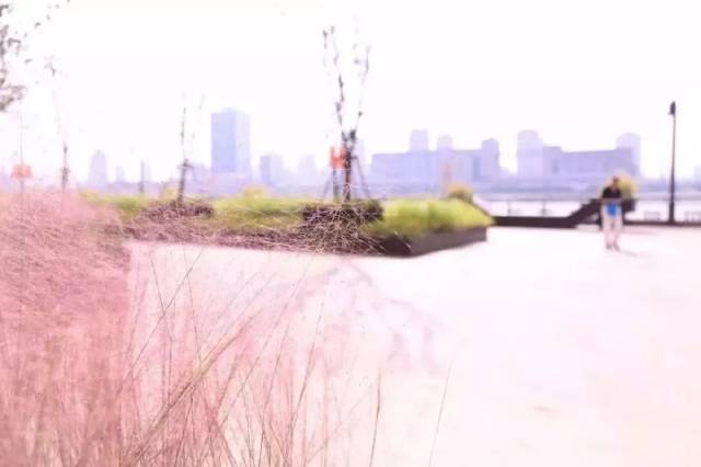 自由的微风的新作品 419caab7c87d4e9ebbd577e0b76cd284.jpeg